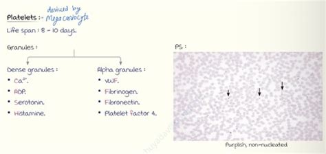 4-Haematology- Haemostasis, Blood Banking and Practical Haematology ...