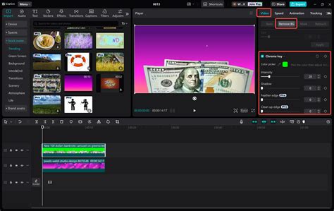 How to Use a Green Screen In OBS | A Comprehensive Guide for Beginners