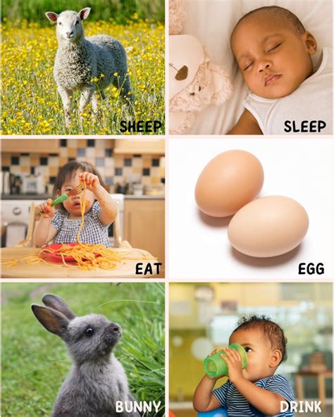 Image result for Babys First Words