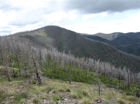 Whitewater Baldy - New Mexico | peakery