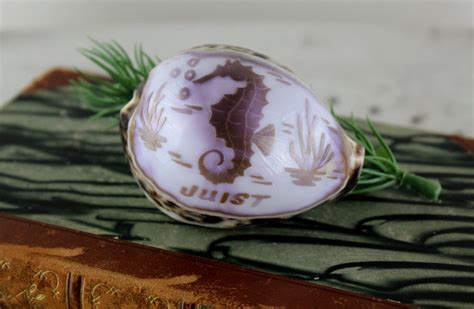 Image result for Ancient Tiger Shell