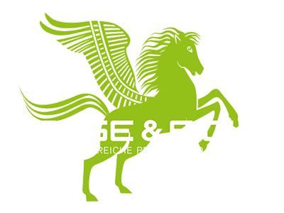 Bense & Eicke B & E Leather Grease colourless 1000 ml