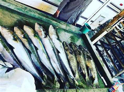 MARMAKO'S SPORTFISHING & ISLAND TRIPS (2026) All You Need to Know ...