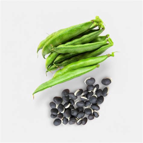 Buy monsoon (rainy) vegetables seeds online - [50% off]