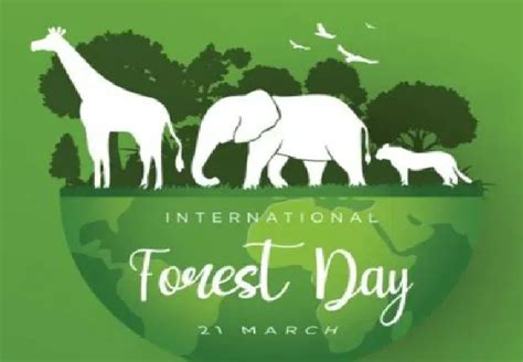 World Forest Day