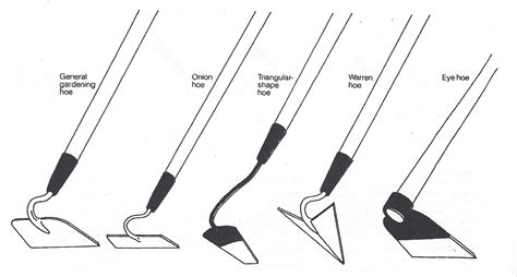 Types of Garden Hoes | Farm and Garden | Pinterest | Gardens