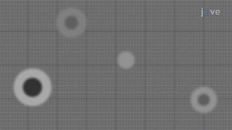 Antigen Antibody Interaction Animation