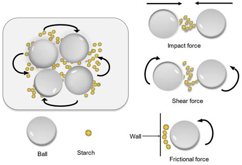 Starch Modification with Molecular Transformation, Physicochemical ...
