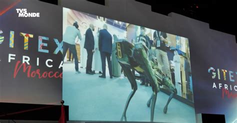 Maroc : de surprenantes écoles de codage | TV5MONDE Afrique