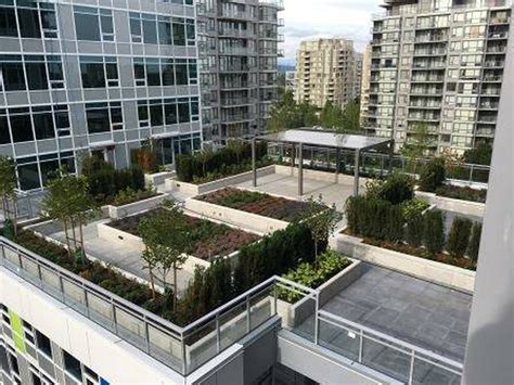 6288 No 3 Rd, Richmond, BC - 1 室 公寓 出租 | liv.rent