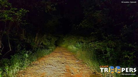 RAJMACHI WILDLIFE SANCTUARY (2025) All You Need to Know BEFORE You Go ...