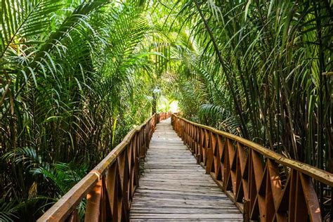 Blog | Andaman Islands