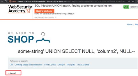Image result for SQL Injection License Plate