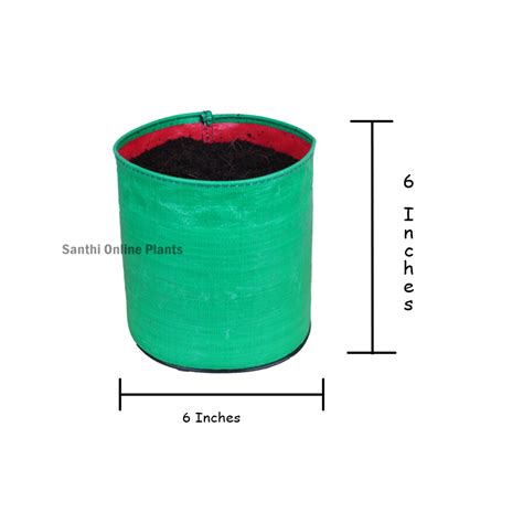 Green Grow bag 6*6 (10 Pcs) – Santhi Online Plants