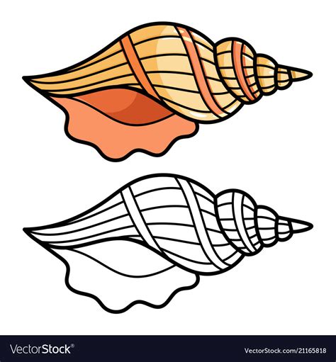 Image result for Easy Shell Line Drawings