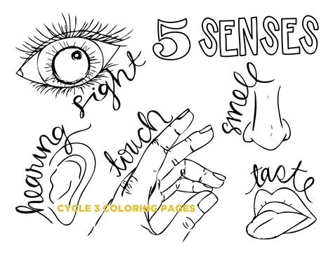 Coloring Pages Of The Five Senses