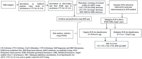 Antibiotics | Free Full-Text | Analyses of Extended-Spectrum-β ...