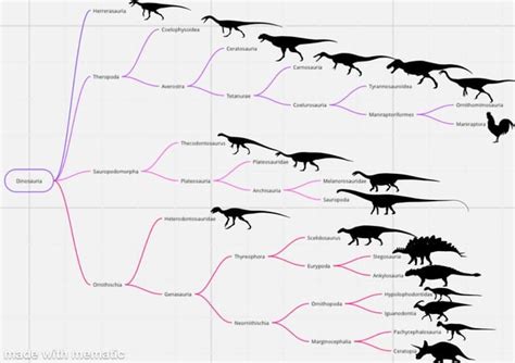 Dinosaur Evolution 的图像结果