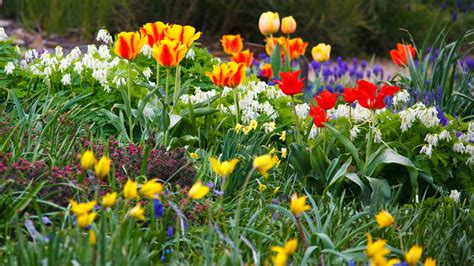 Image result for Spring Flower Garden