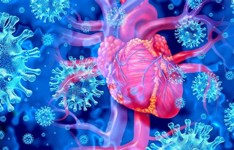 Myocarditis after COVID vaccination is rare but higher in younger males