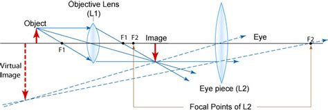 Image result for Compound Microscope Physics