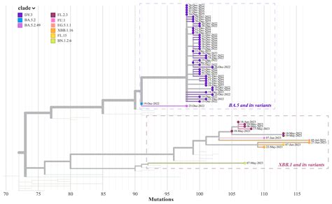 Characterizing Infections in Two Epidemic Waves of SARS-CoV-2 Omicron Variants: A Cohort Study ...