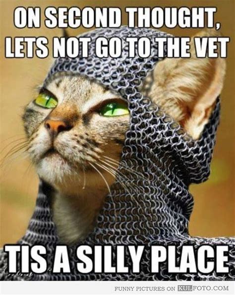 Monty Python Cat Beating 的图像结果