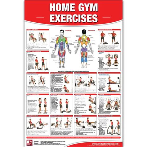 Body Muscle Exercise Chart 的图像结果