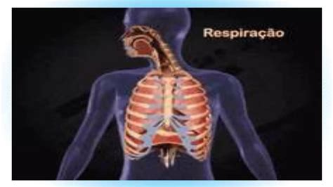 Image result for Grade 9 Science Lessons