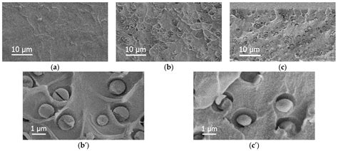 The Effect of Complex Modifier Consisting of Star Macromolecules and ...