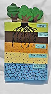 Buy Basic Model of Soil Profiling , Layer of Soil, Regular Size, Multi ...