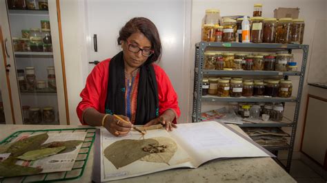 The Taxa Files | Nature inFocus