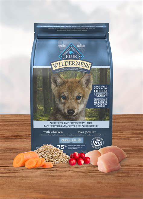 Blue buffalo dry puppy food online