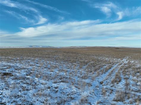 All Auction Sales | Pifer's Auction & Realty