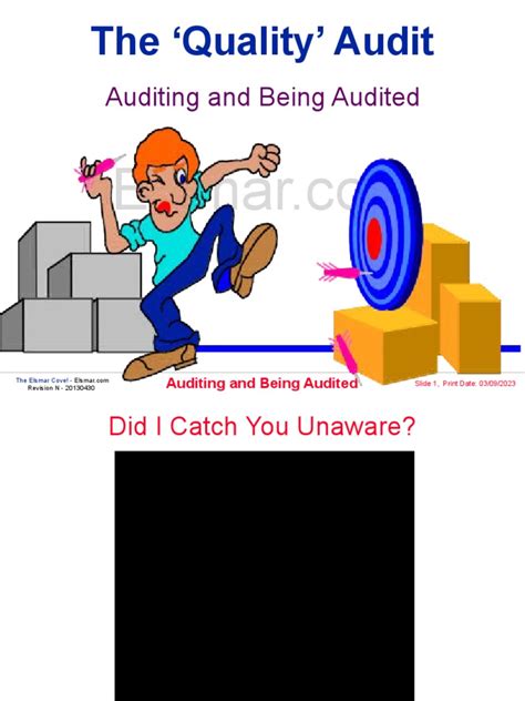Audit Guide 的图像结果