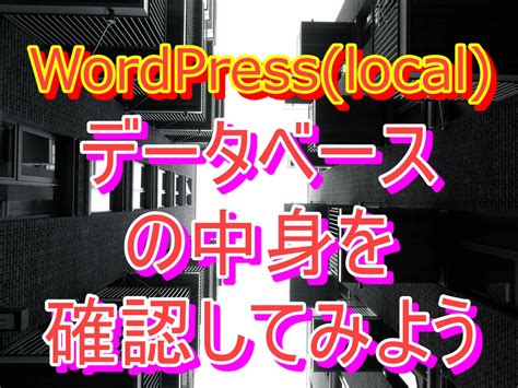 Local Database WordPress 的图像结果