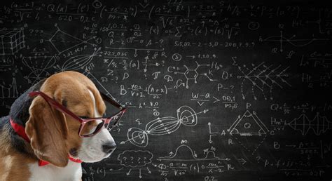 Image result for Intellectual Capacity