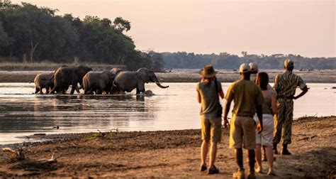 10 Indian National Parks You Can Explore on Foot