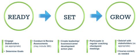 Coaching Process 的图像结果