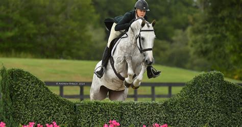 Entries & Stall Reservations Open for the 2025 WEC - Ocala Spring ...