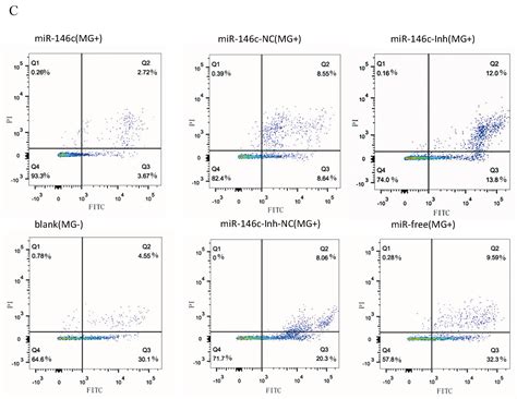 gga-miR-146c Activates TLR6/MyD88/NF-κB Pathway through Targeting MMP16 ...
