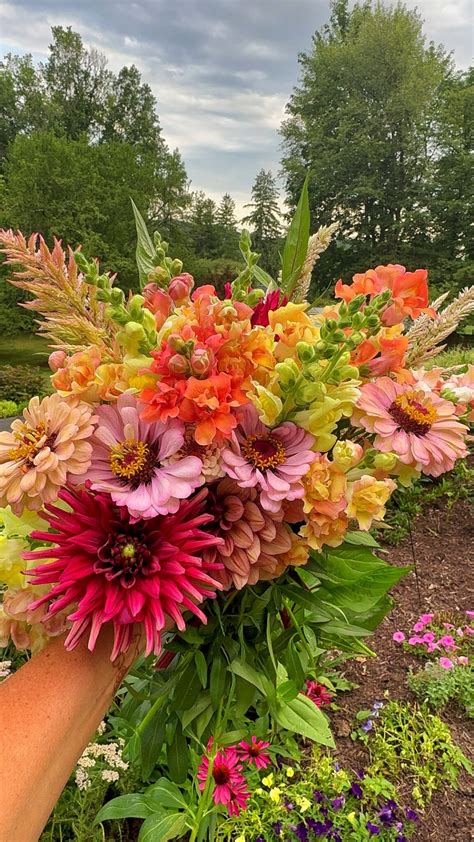 Homemade Flower Food