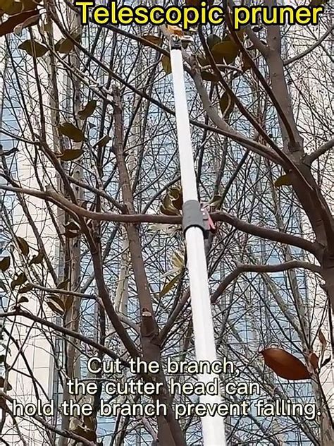 Image result for Best Laser Tree Branch Cutter