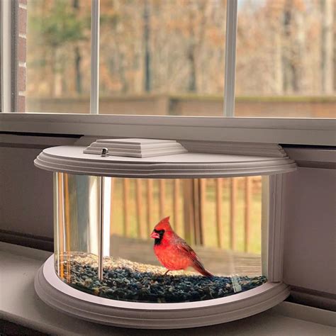 in Window Bird Feeders for Viewing - 180° Clear View Bird Feeder ...