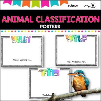 Classification of Animals Posters by Oceanview Resources | TPT