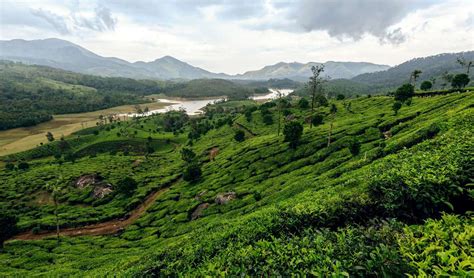 Image result for Assam Language