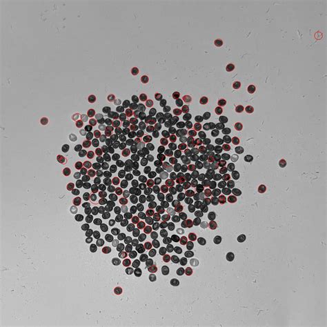 Image result for Blob Detection OpenCV Python