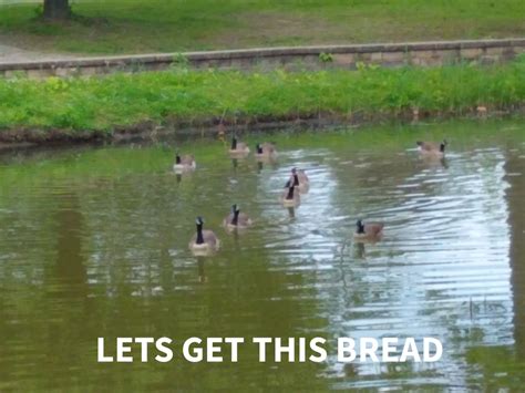 Let's get this bread Meme Generator - Piñata Farms - The best meme ...