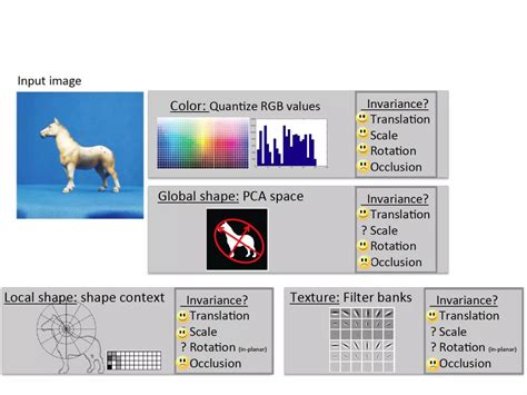 Computer Vision Classification Example 的图像结果