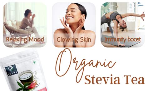 Essence of Life Cancer Cure Sabah Snake Grass Stevia Tea Bag | 100% ...